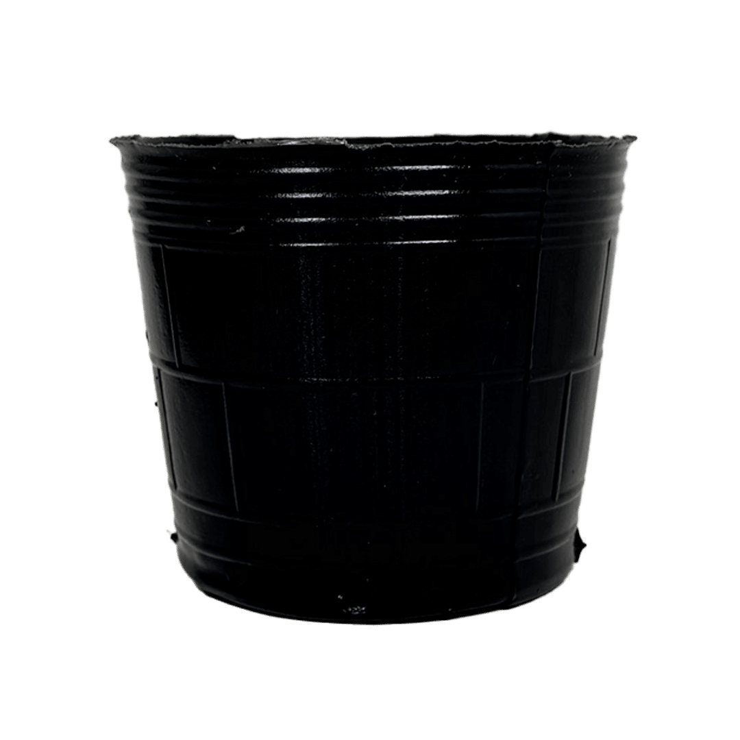 MACETA SOPLADA 3 LT 170x150x130mm