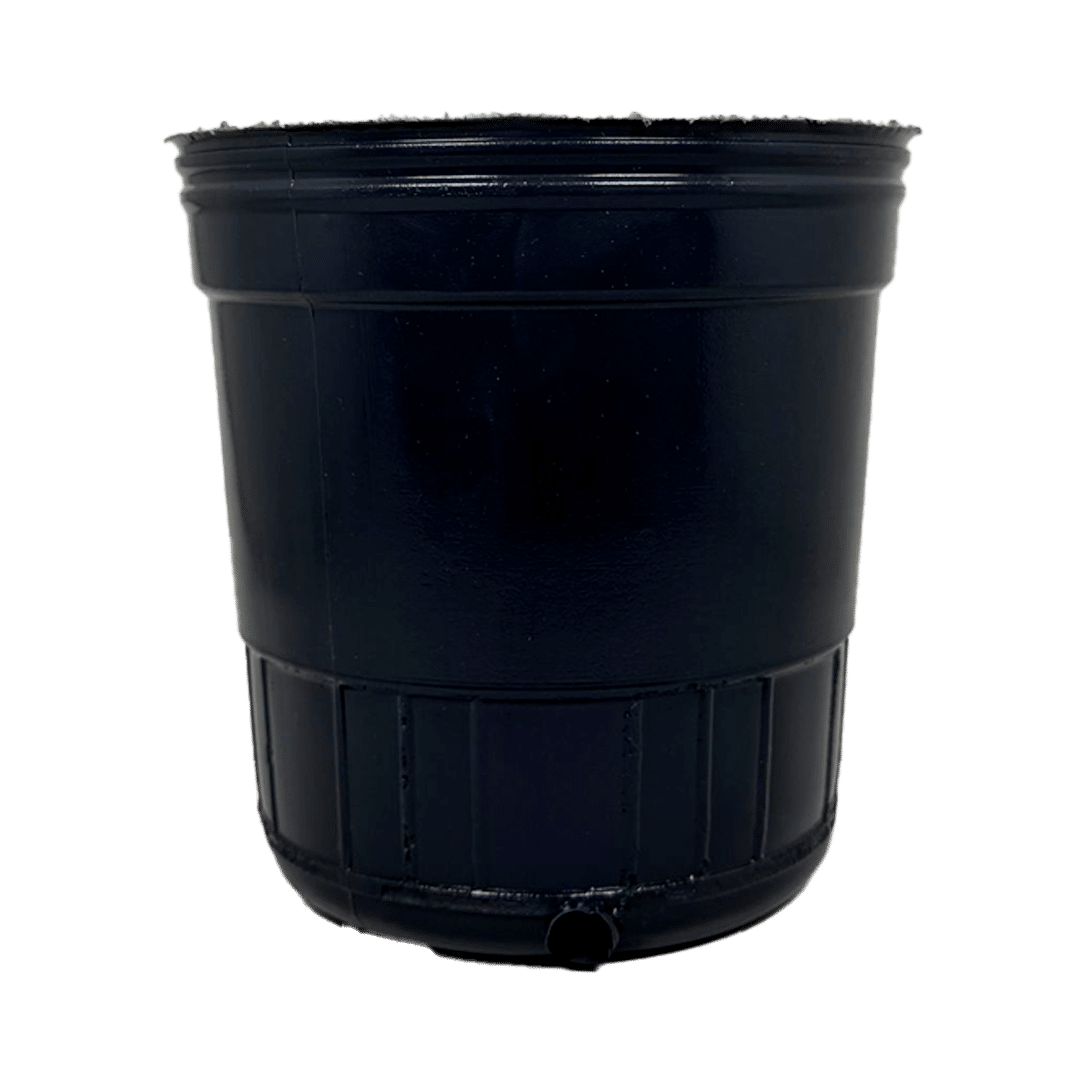 MACETA SOPLADA N14 1.5lt