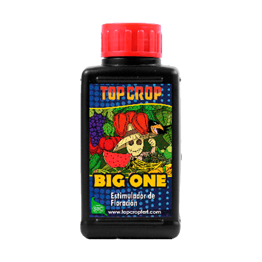 Top Crop BIG ONE 100ml (Estimulador de Flora)