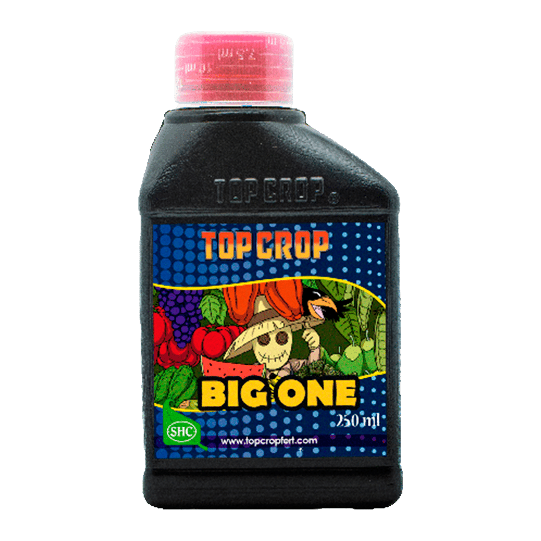 Top Crop BIG ONE 250ml (Estimulador de Floracion)