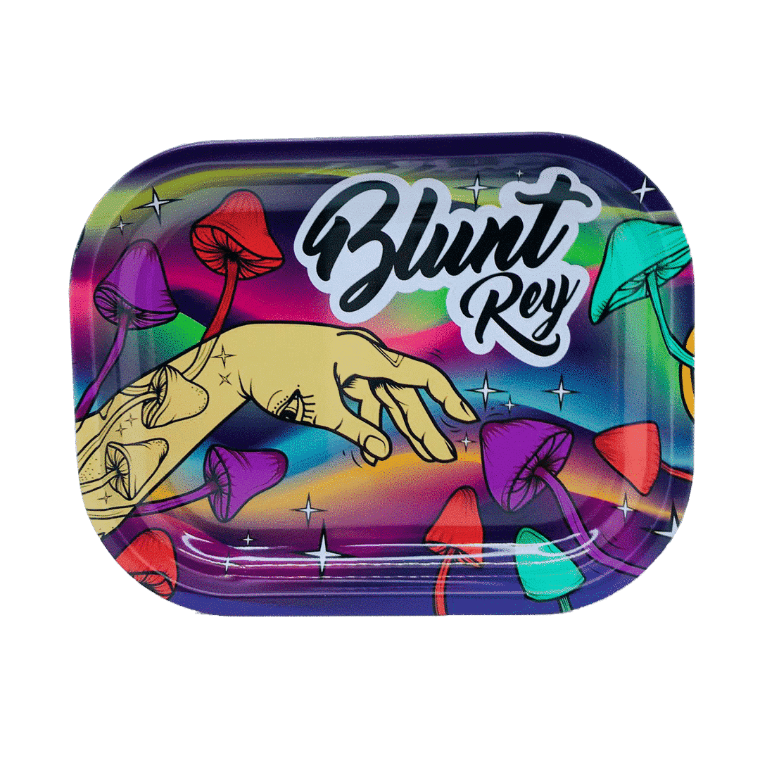 BAN13 BANDEJA CHICA MANO DE ADAN 18*14cm