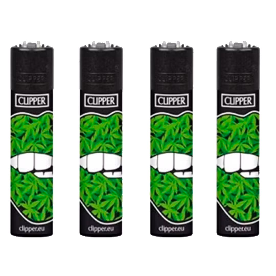 Clipper GIRL