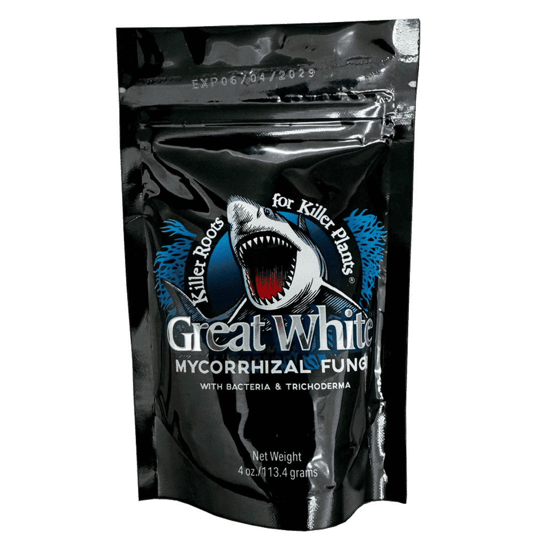GREAT WHITE 4 Oz