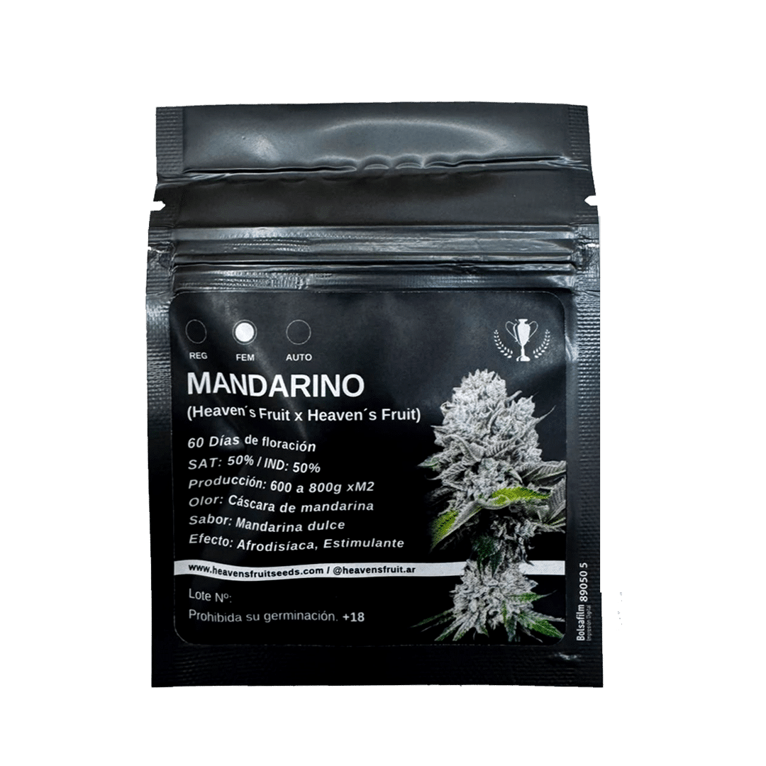 Mandarino 3+1 Foto